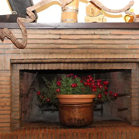 Societa Agricola F.lli Angelucci 农家乐