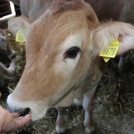 农家乐 Societa Agricola F.lli Angelucci *