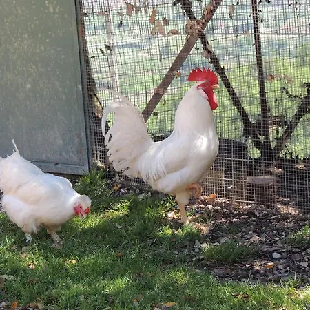 农家乐 Societa Agricola F.lli Angelucci 卡纳拉