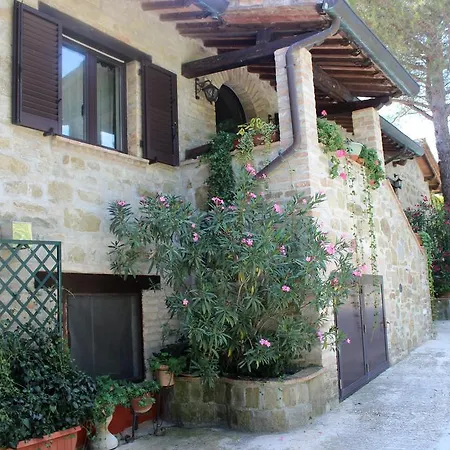 Societa Agricola F.lli Angelucci *