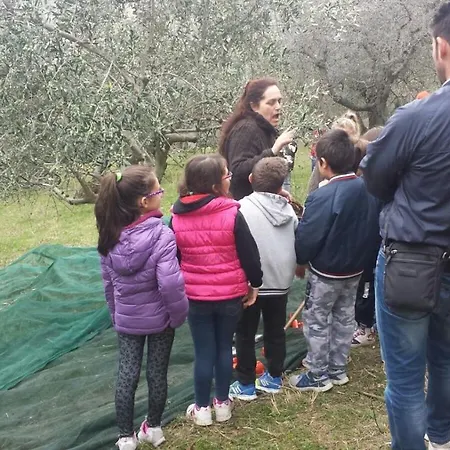 Società Agricola F.lli Angelucci *