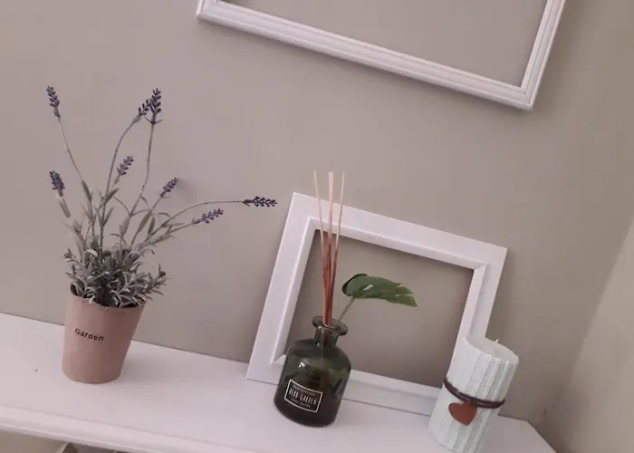 Farm stay Societa Agricola F.lli Angelucci *