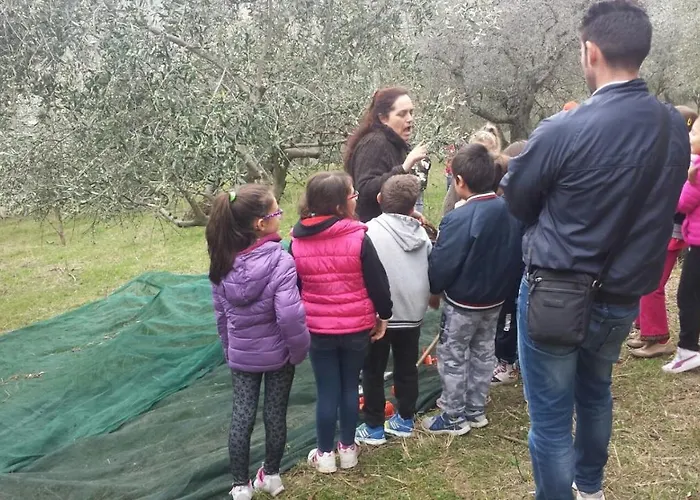 Societa Agricola F.lli Angelucci *